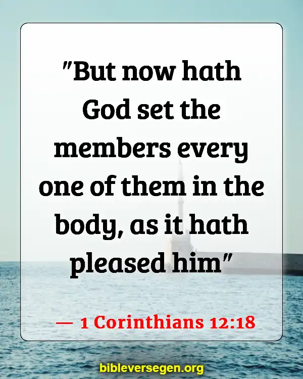 Bible Verses About Keeping Healthy (1 Corinthians 12:18)