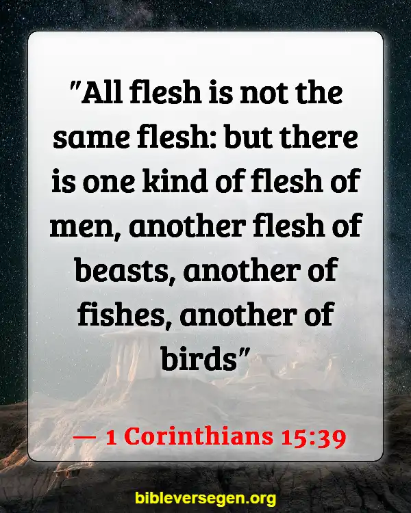 Bible Verses About Animals In Heaven (1 Corinthians 15:39)