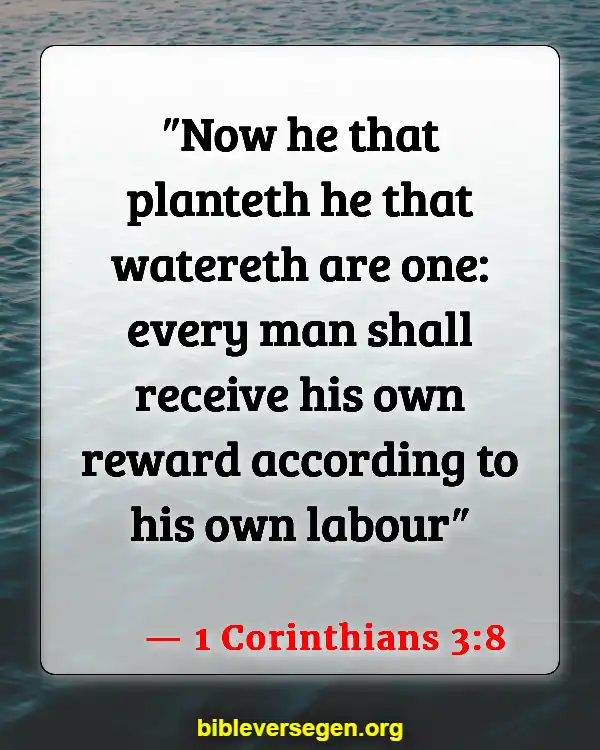 Bible Verses About Responsible (1 Corinthians 3:8)