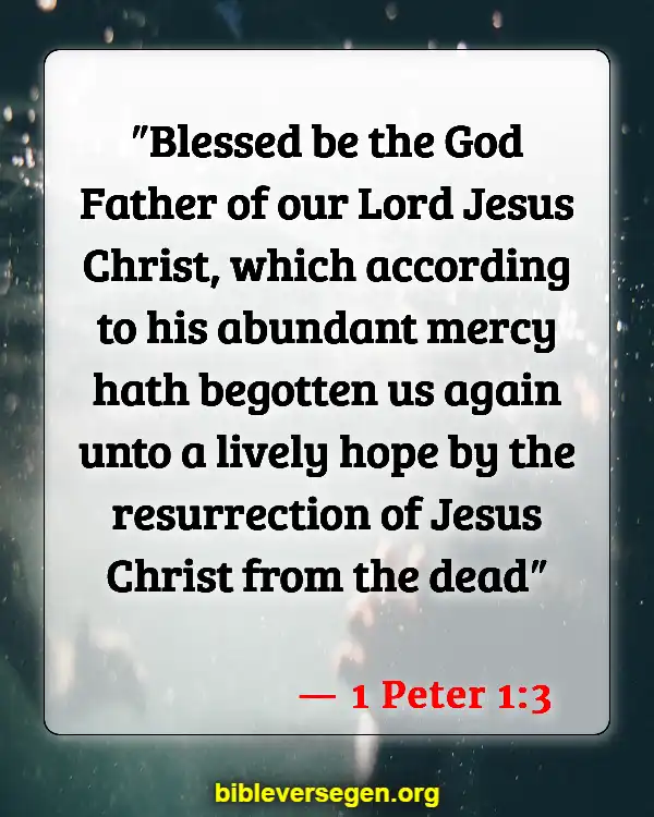 Bible Verses About Being Born Again (1 Peter 1:3)