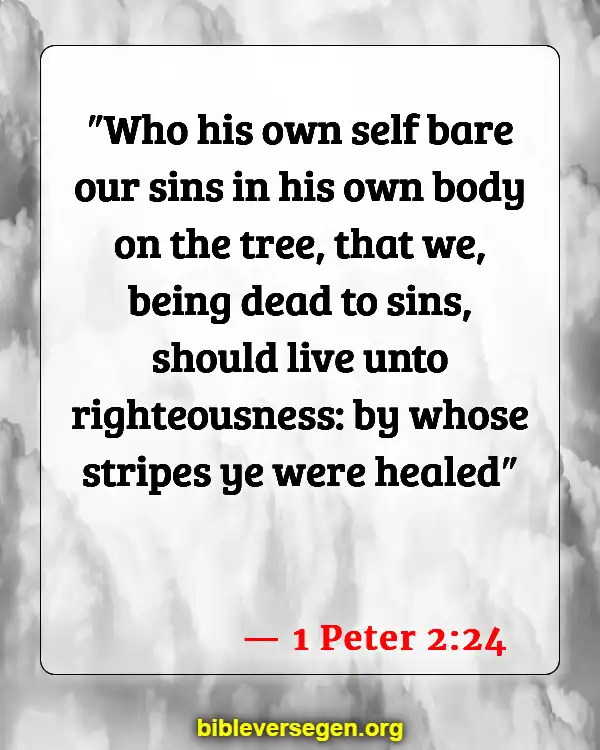 Bible Verses About Wellness (1 Peter 2:24)