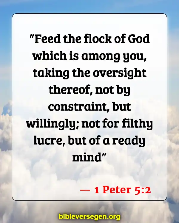 Bible Verses About Serving The Church (1 Peter 5:2)