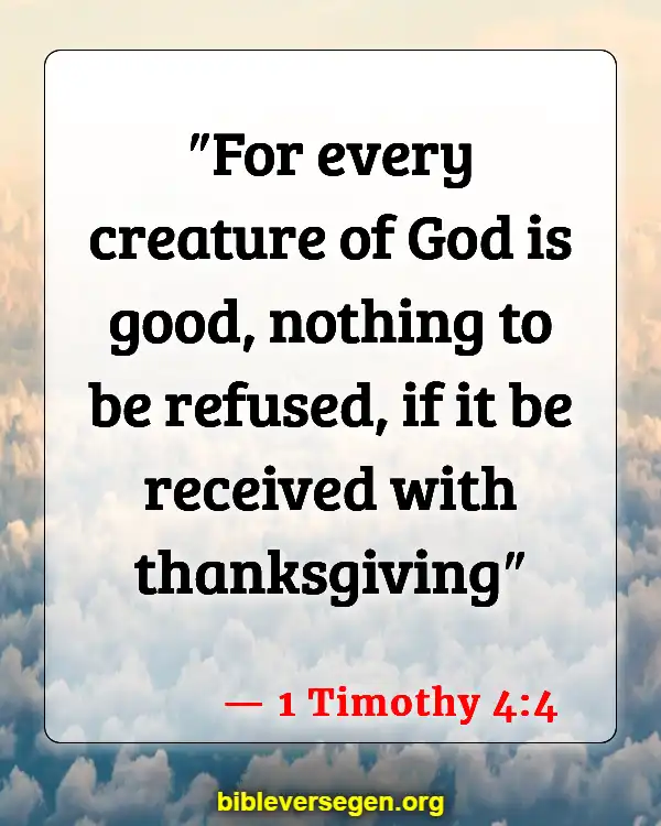 Bible Verses About What We Should Eat (1 Timothy 4:4)