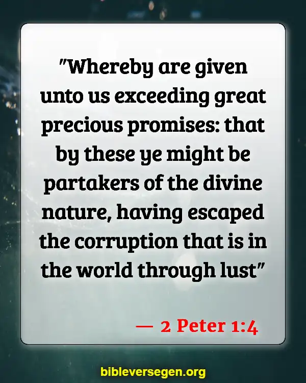 Bible Verses About Giving Authority (2 Peter 1:4)