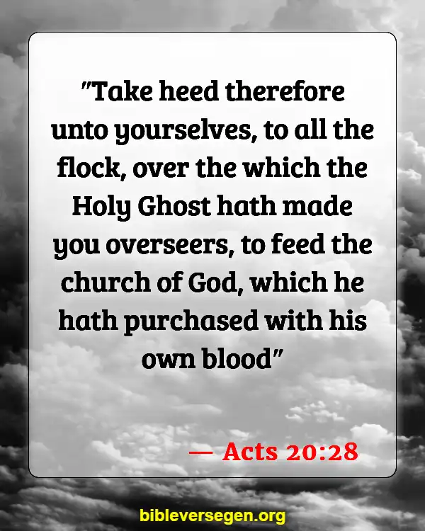 Bible Verses About Serving The Church (Acts 20:28)