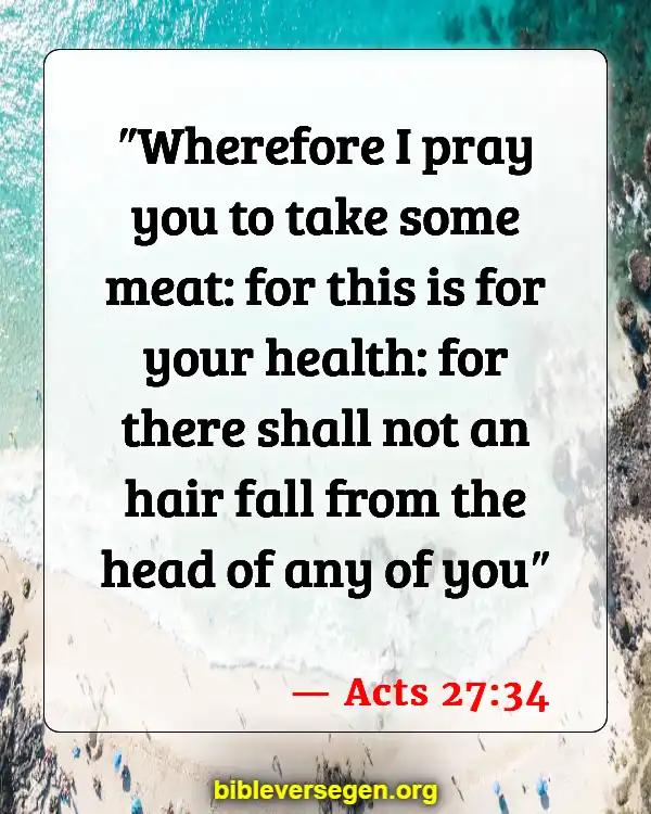 Bible Verses About Healthy Lifestyle (Acts 27:34)