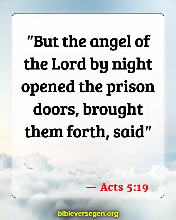 Bible Verses About Angels (Acts 5:19)
