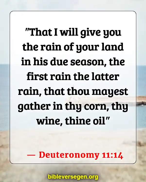 Bible Verses About Falling (Deuteronomy 11:14)