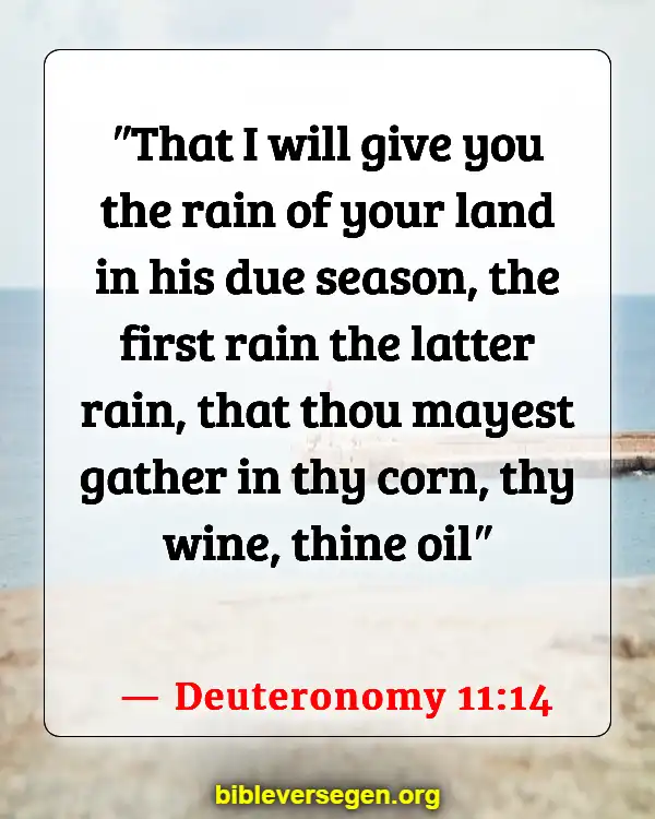 Bible Verses About Agriculture (Deuteronomy 11:14)