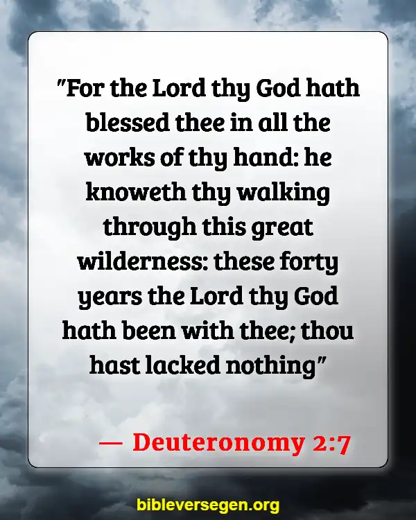 Bible Verses About Journey (Deuteronomy 2:7)