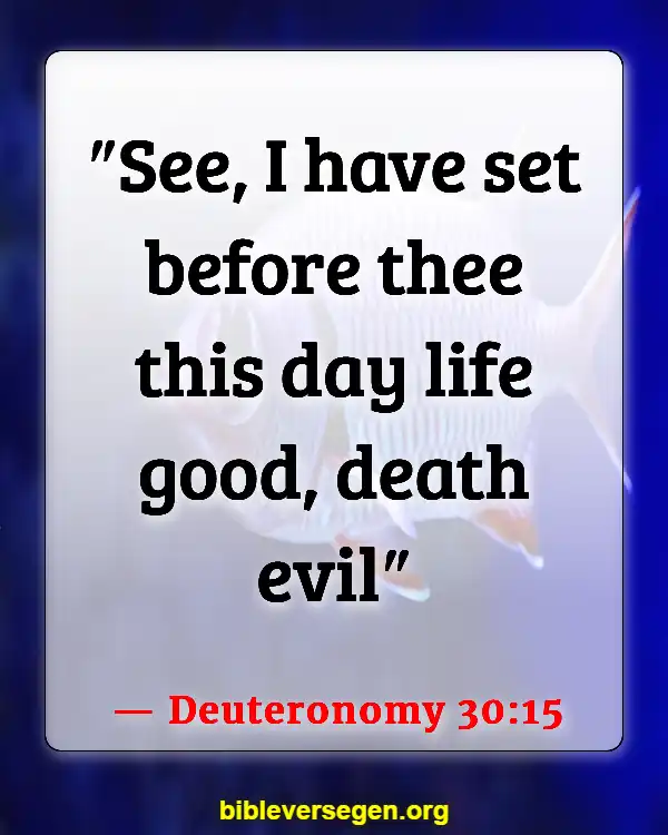 Bible Verses About Garden Of Eve (Deuteronomy 30:15)