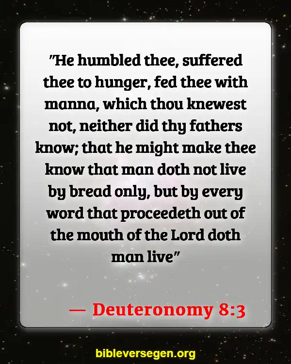 Bible Verses About Praying Over Food (Deuteronomy 8:3)