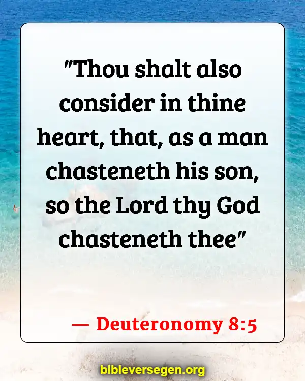 Bible Verses About Lessons (Deuteronomy 8:5)