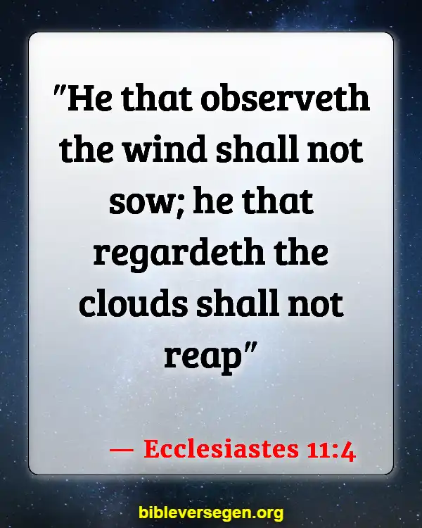 Bible Verses About Stillborn Babies (Ecclesiastes 11:4)