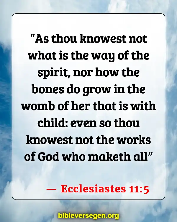 Bible Verses About Bones (Ecclesiastes 11:5)