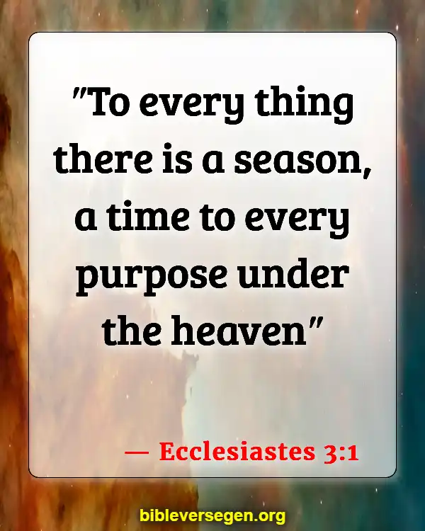 Bible Verses About Plans To Prosper (Ecclesiastes 3:1)