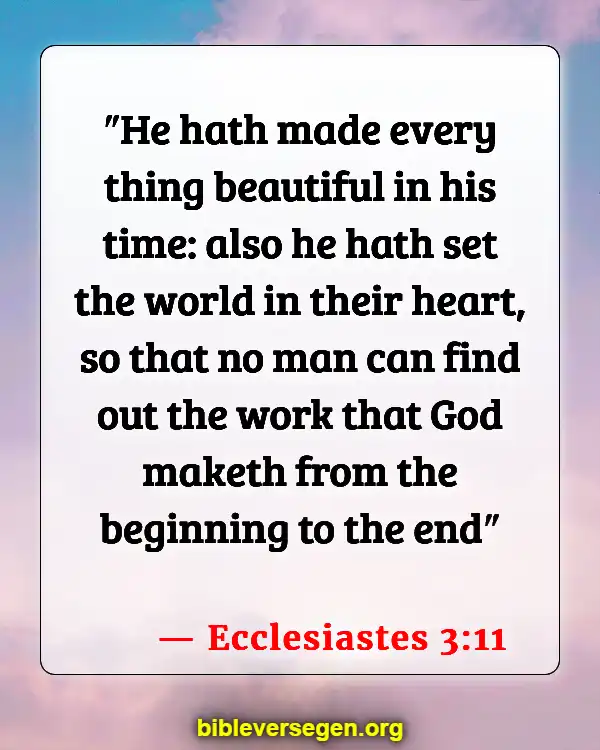 Bible Verses About Buddhism (Ecclesiastes 3:11)