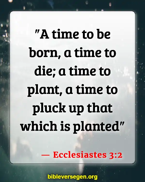 Bible Verses About Schedules (Ecclesiastes 3:2)
