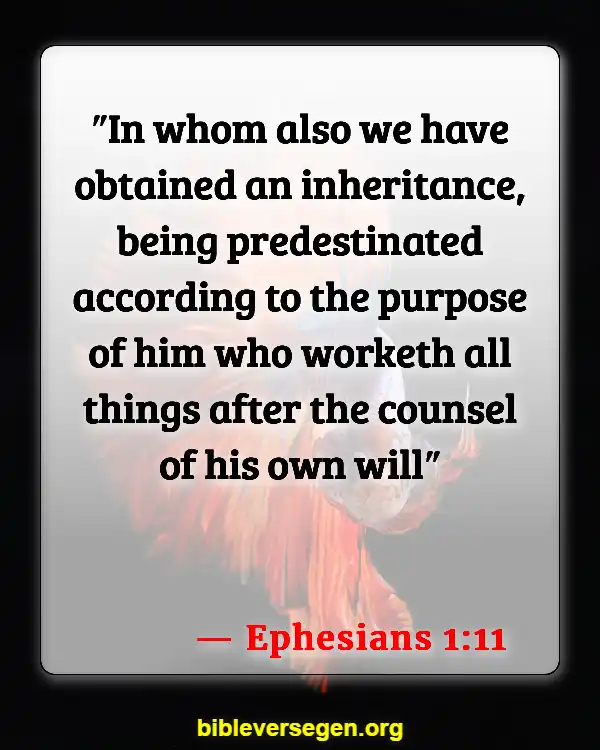 Bible Verses About Creation Groans (Ephesians 1:11)