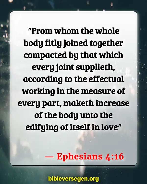 Bible Verses About Speaking The Truth In Love (Ephesians 4:16)