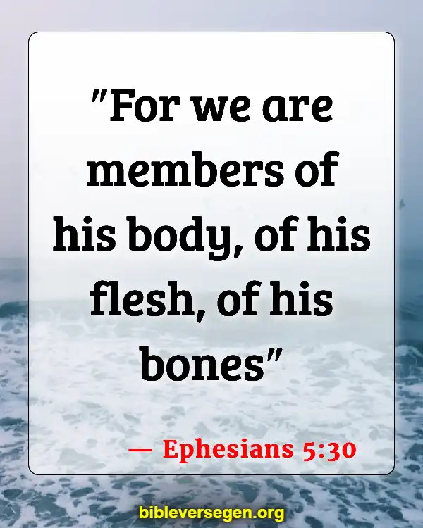 Bible Verses About Bones (Ephesians 5:30)
