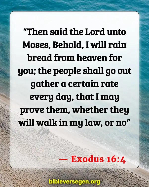 Bible Verses About Nutrition (Exodus 16:4)