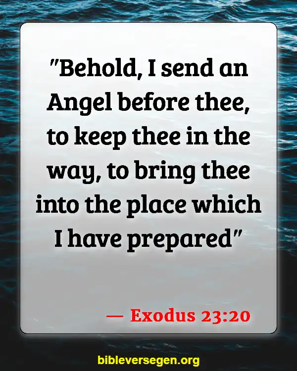 Bible Verses About Angels (Exodus 23:20)
