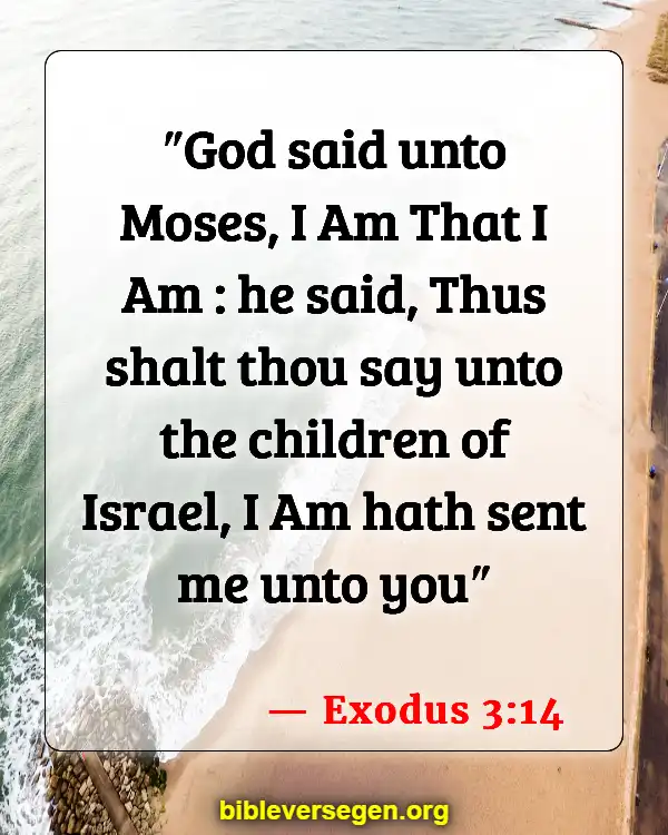 Bible Verses About John Being The Author Of The Gospel Of John (Exodus 3:14)
