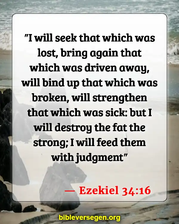 Bible Verses About Care For The Sick (Ezekiel 34:16)