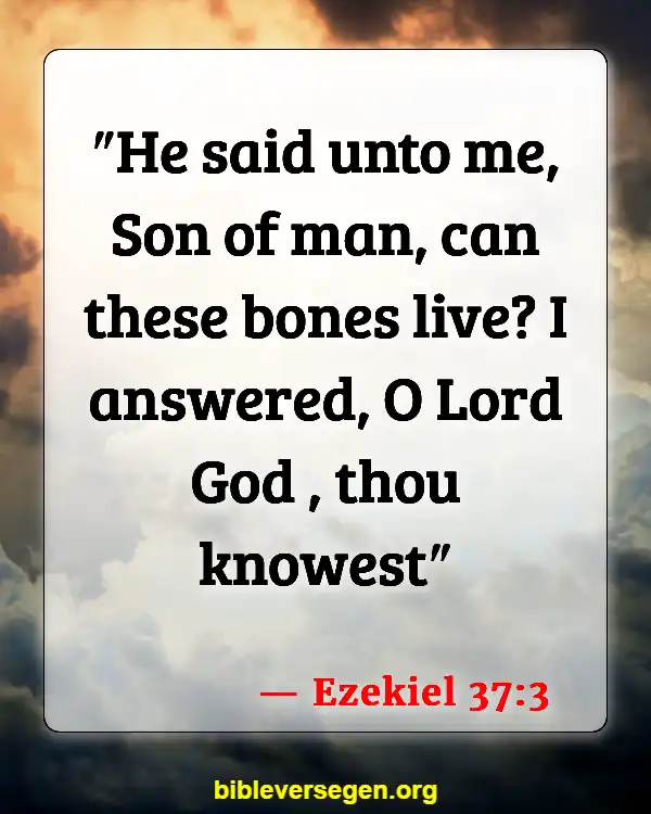 Bible Verses About Bones (Ezekiel 37:3)