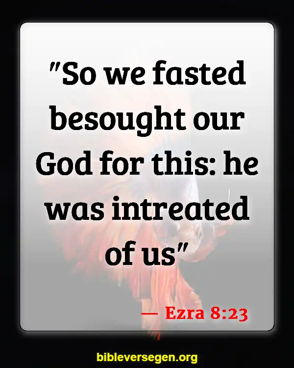 Bible Verses About Prayer For Fasting (Ezra 8:23)