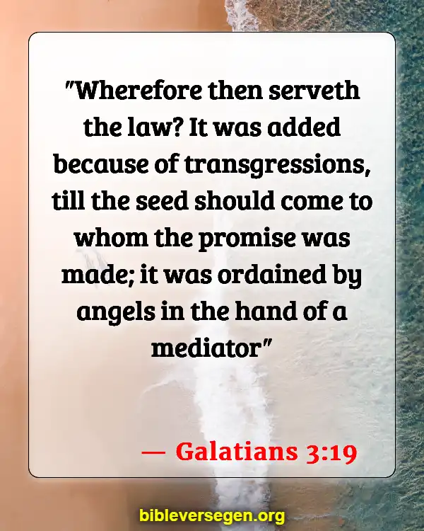 Bible Verses About Sermon On The Mount (Galatians 3:19)