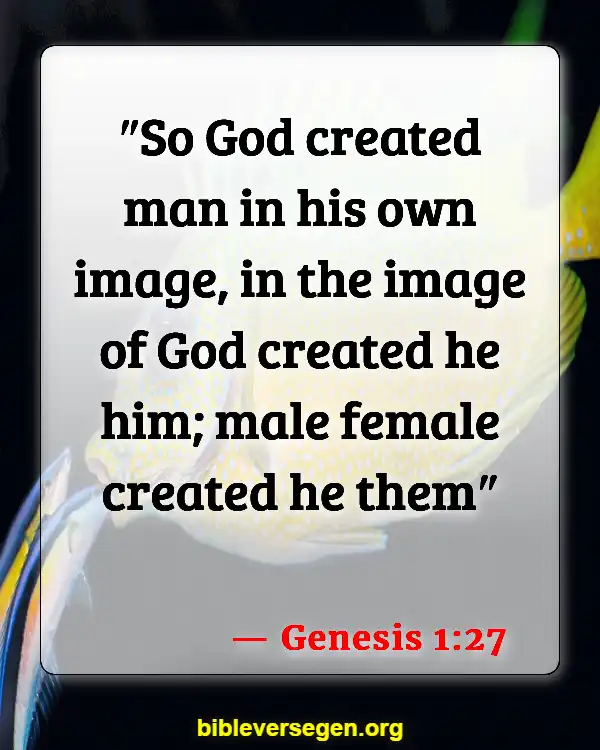 Bible Verses About Gays (Genesis 1:27)