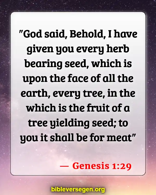 Bible Verses About Staying Healthy (Genesis 1:29)