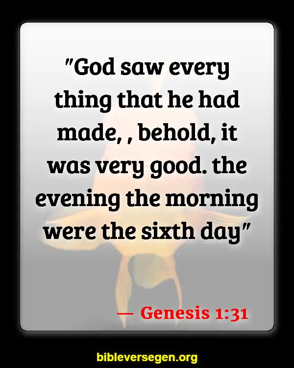 Bible Verses About Creation Groans (Genesis 1:31)