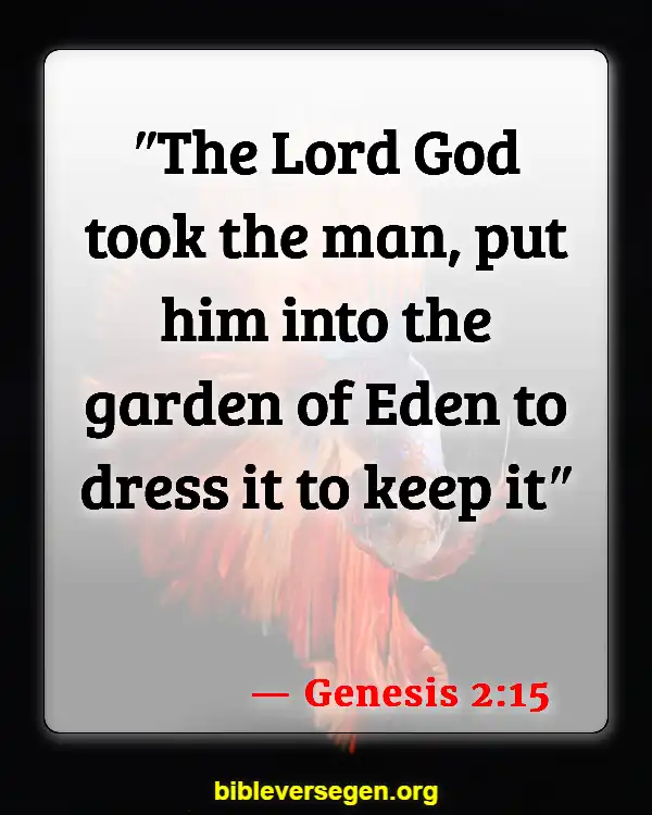 Bible Verses About Garden Of Eve (Genesis 2:15)