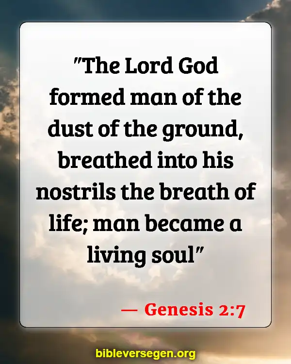 Bible Verses About Creation Groans (Genesis 2:7)
