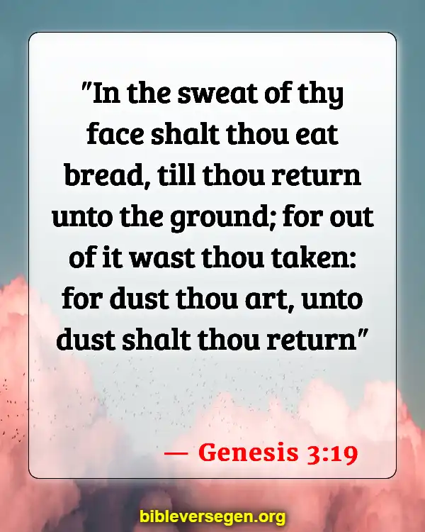 Bible Verses About Garden Of Eve (Genesis 3:19)