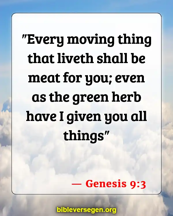 Bible Verses About Keeping Healthy (Genesis 9:3)