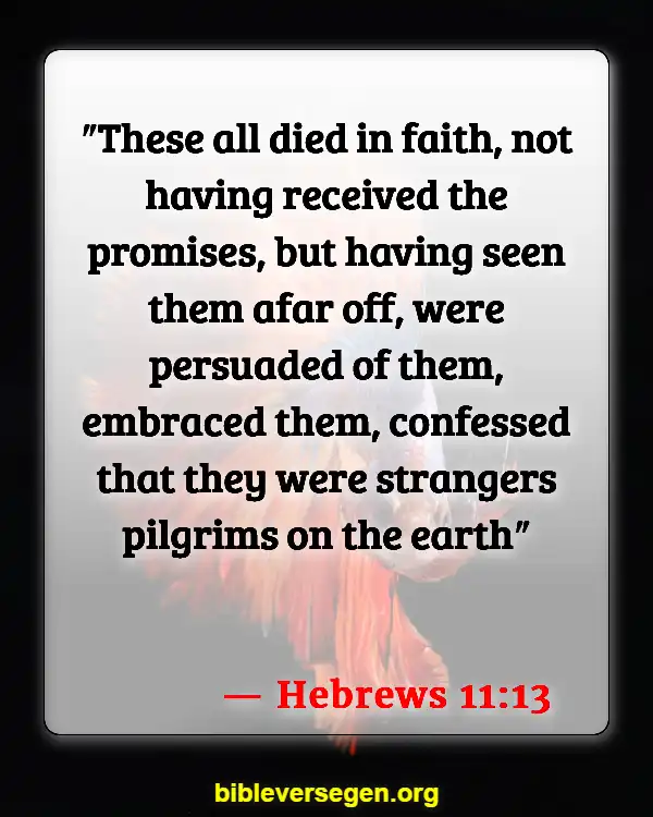 Bible Verses About Adventure (Hebrews 11:13)