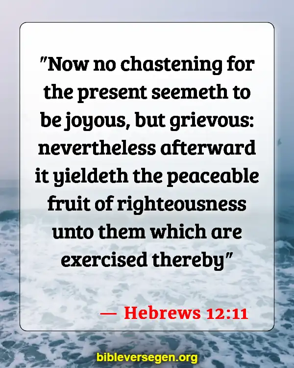 Bible Verses About Jesus Miracles (Hebrews 12:11)