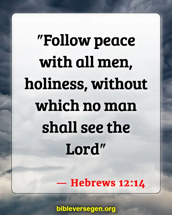 Bible Verses About Apology (Hebrews 12:14)