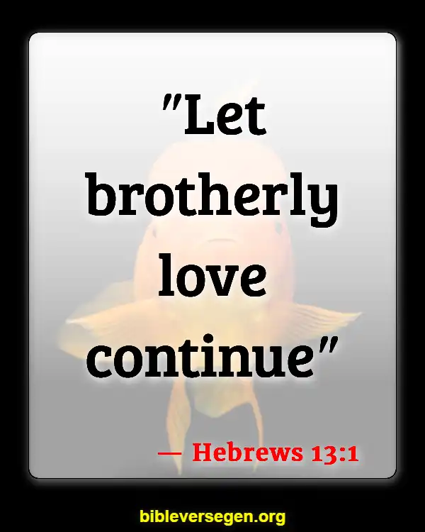 Bible Verses About Fraternities (Hebrews 13:1)