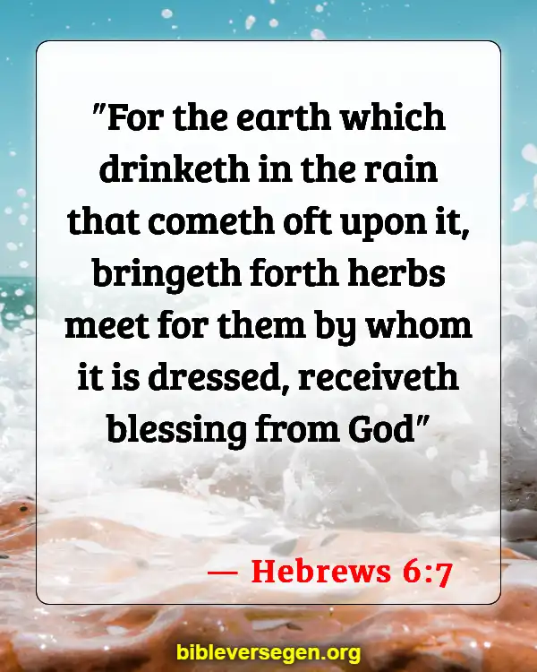 Bible Verses About Agriculture (Hebrews 6:7)