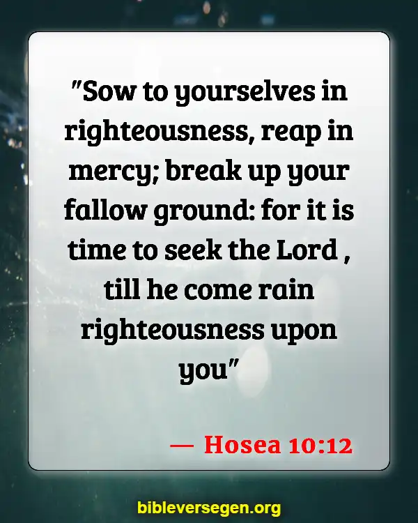 Bible Verses About Agriculture (Hosea 10:12)