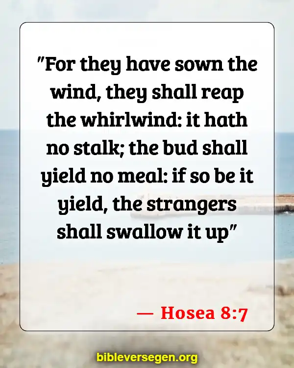 Bible Verses About Strong Winds (Hosea 8:7)