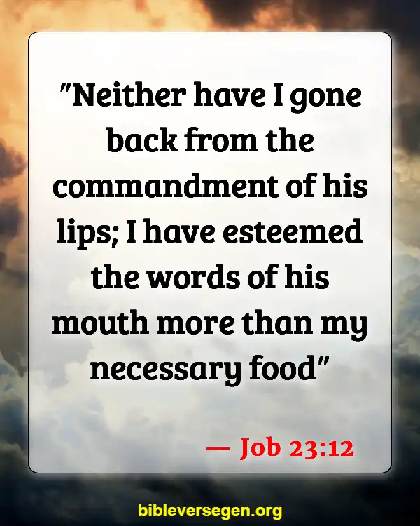 Bible Verses About Healthy Lifestyle (Job 23:12)