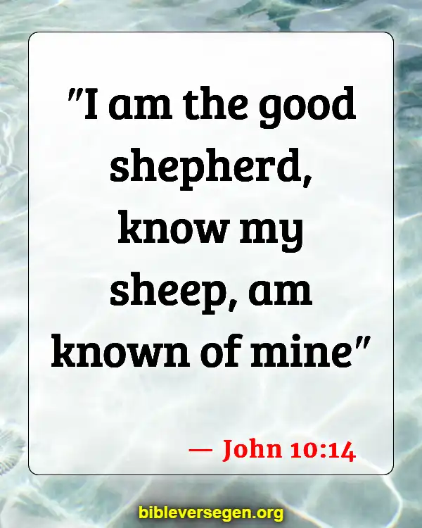 Bible Verses About Knowing His Voice (John 10:14)