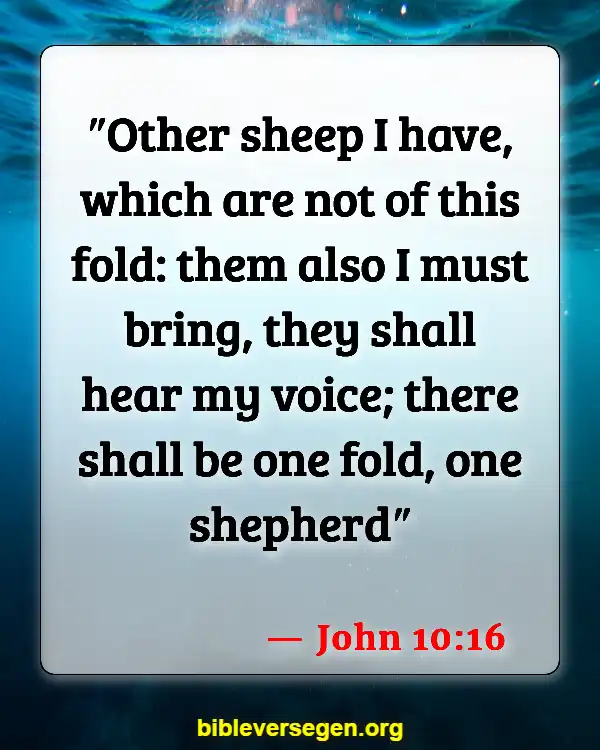 Bible Verses About Knowing His Voice (John 10:16)