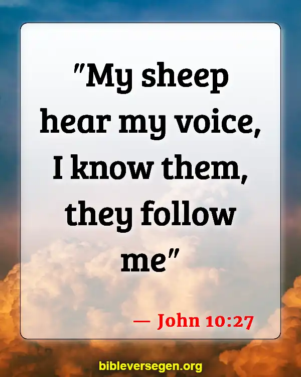 Bible Verses About Knowing His Voice (John 10:27)